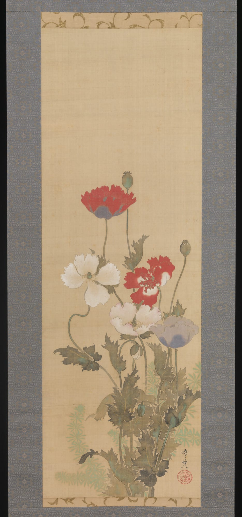Poppies, Suzuki Kiitsu