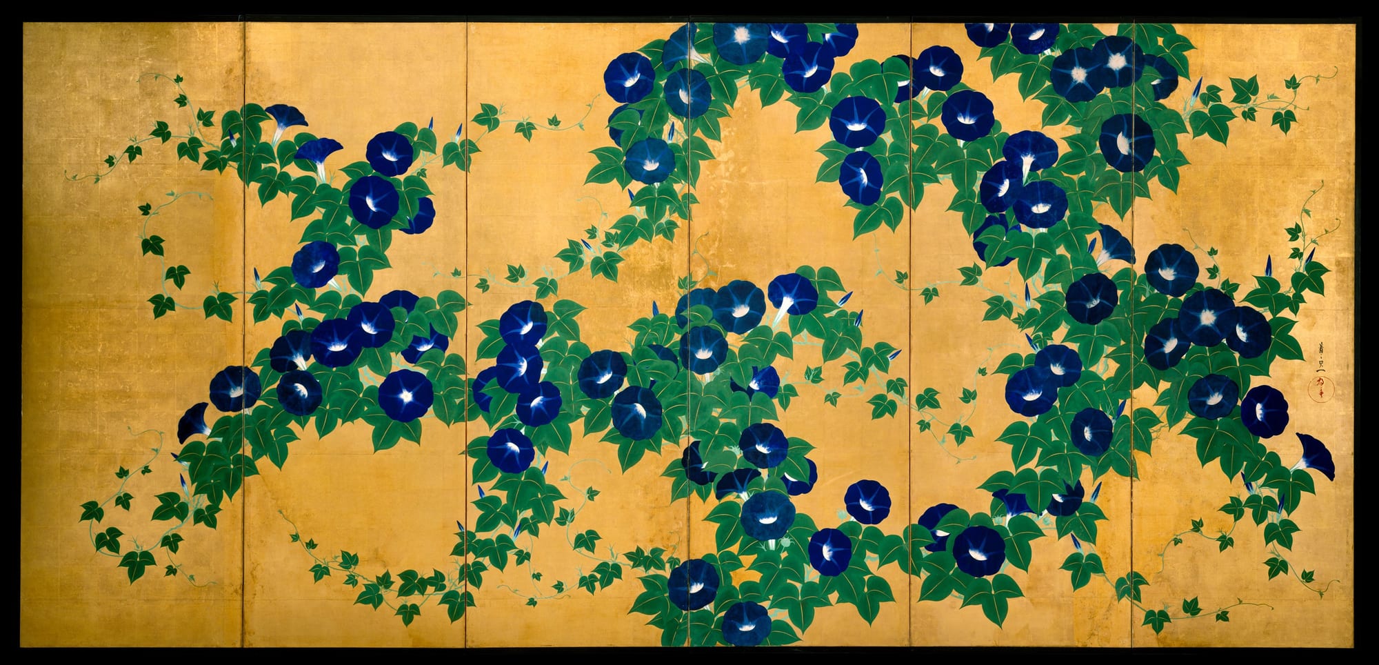 Morning Glories, Suzuki Kiitsu